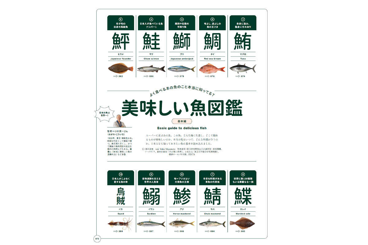 よく食べるあの魚のこと本当に知ってる？美味しい魚図鑑 （基本編）