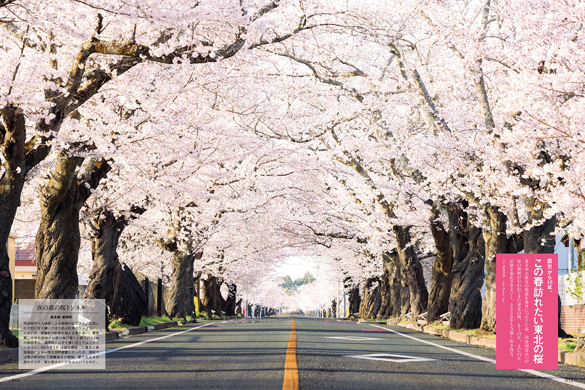 この春訪れたい東北の桜