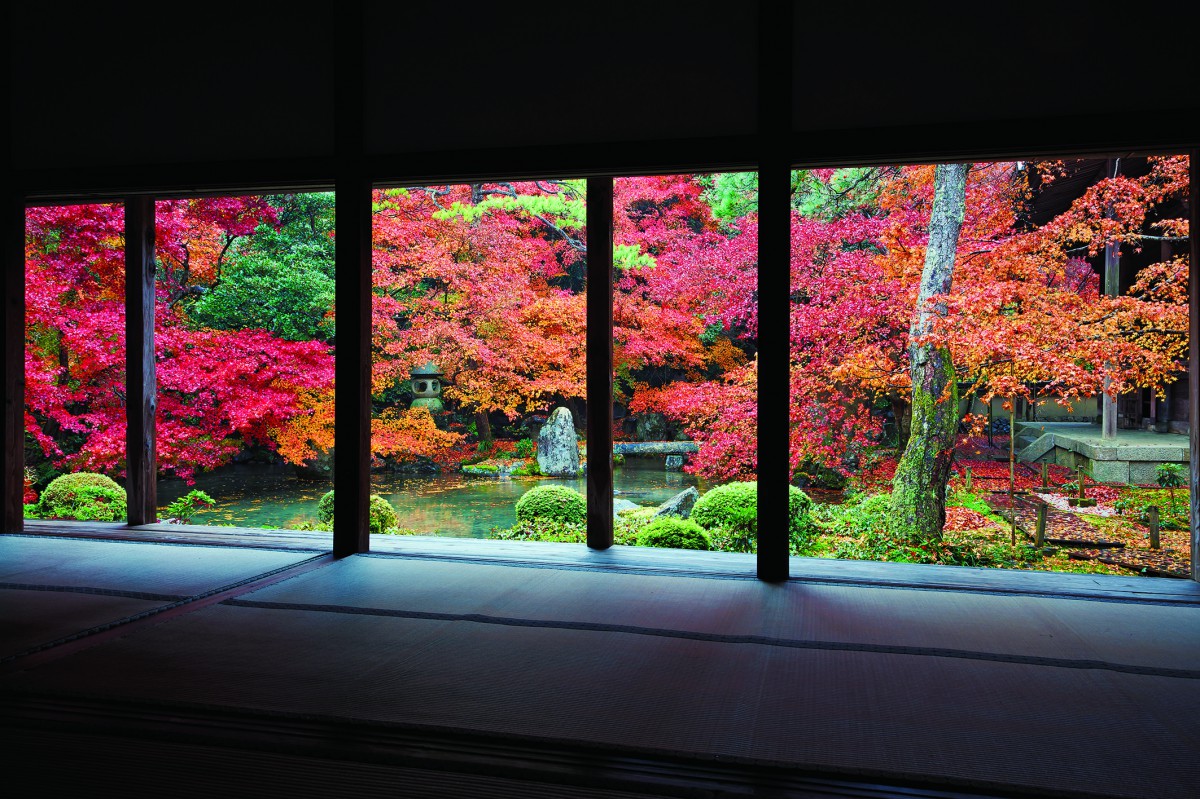 秋の絶景 紅葉を京都で愉しむおすすめホテル5選 | 一休コンシェルジュ