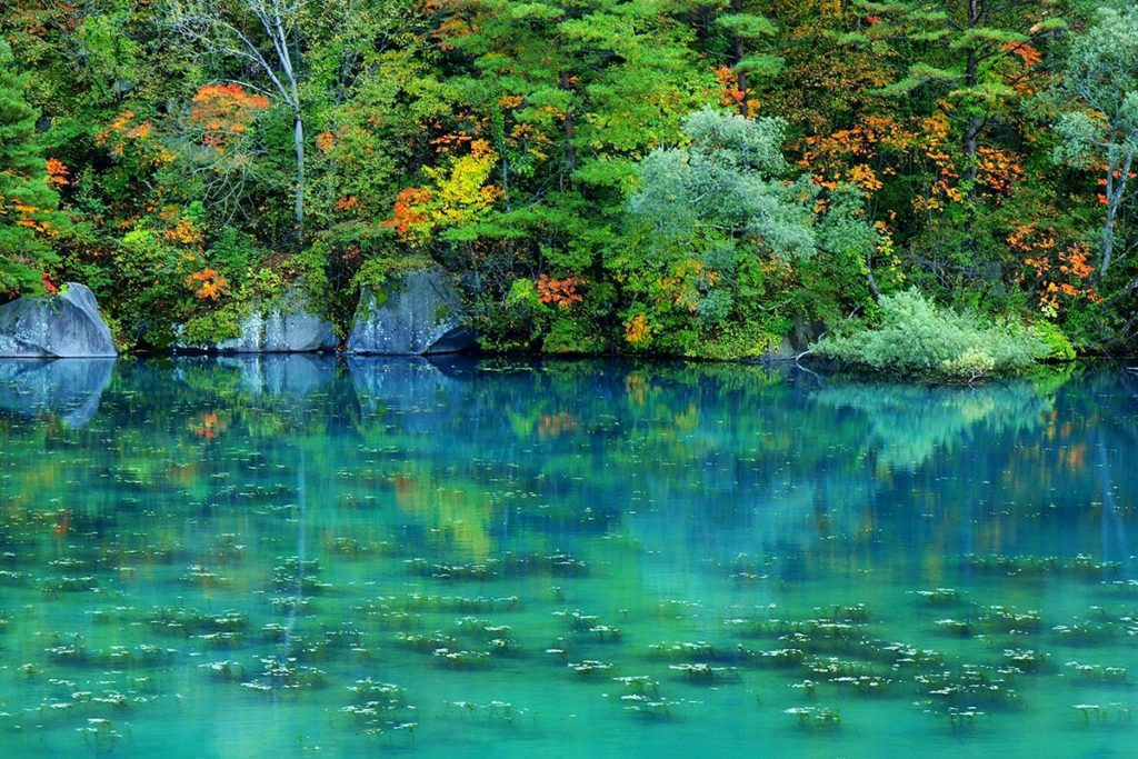 東北地方の最南端に位置する みちのくの玄関口 福島県 Discover Japan ディスカバー ジャパンー日本の魅力再発見ー