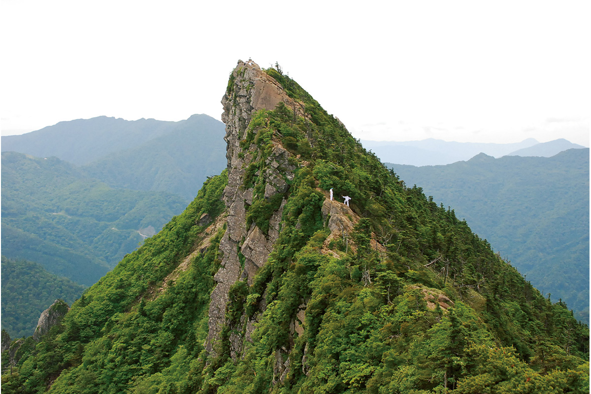 柑橘類の生産量日本一 国民的小説の舞台 愛媛県 Discover Japan ディスカバー ジャパンー日本の魅力再発見ー