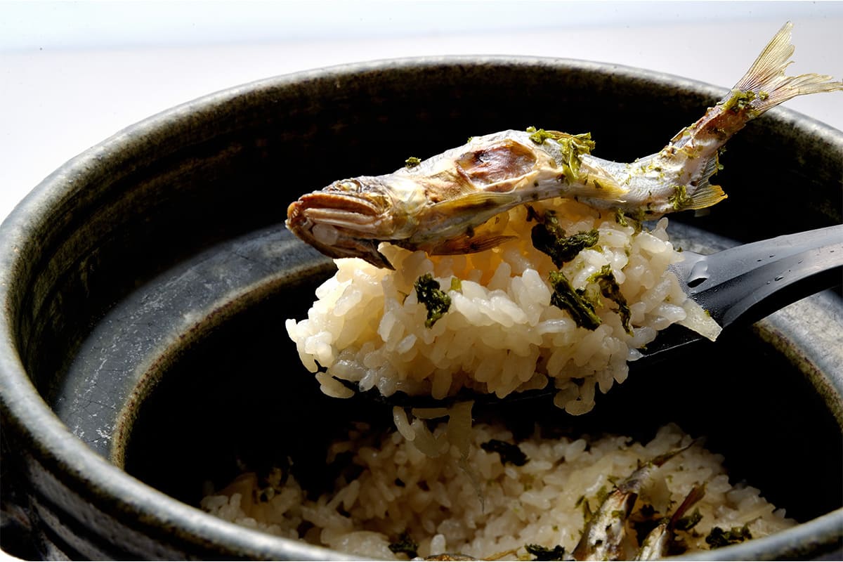 “落ち鮎”を求めて、石川・白山の料理旅館「和田屋」へ