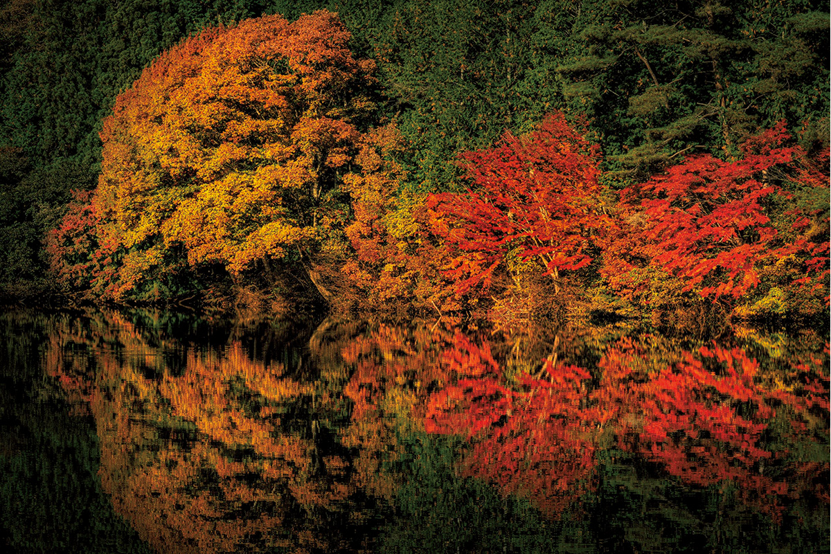 Discover Japan絶景プロジェクト<br>11月テーマ：紅葉