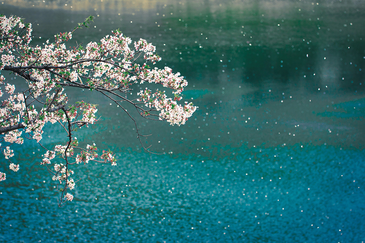 Discover Japan絶景プロジェクト<br>4月テーマ：花