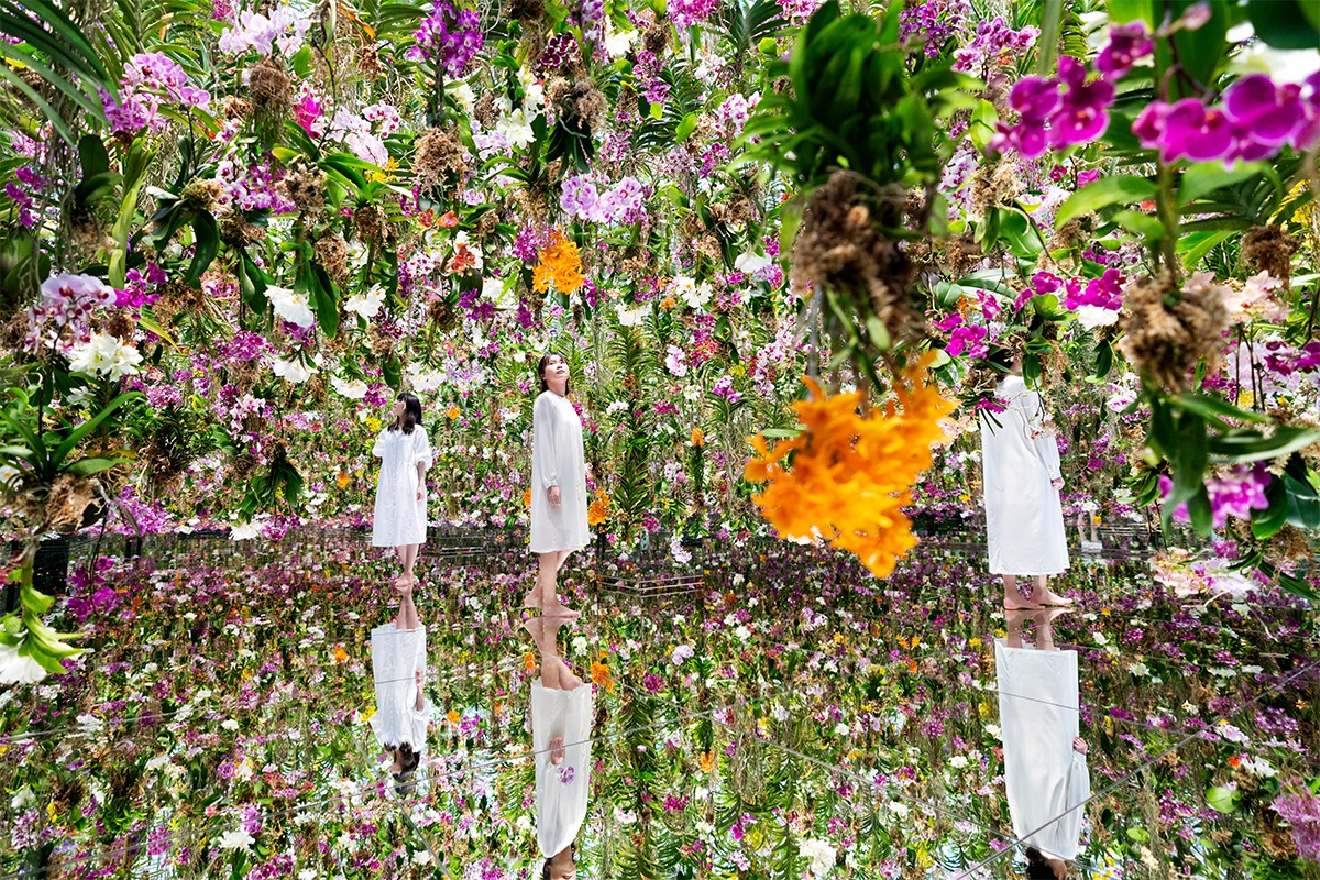 「チームラボプラネッツ」に、“花と一体化”できるアート「Garden Area」が登場！