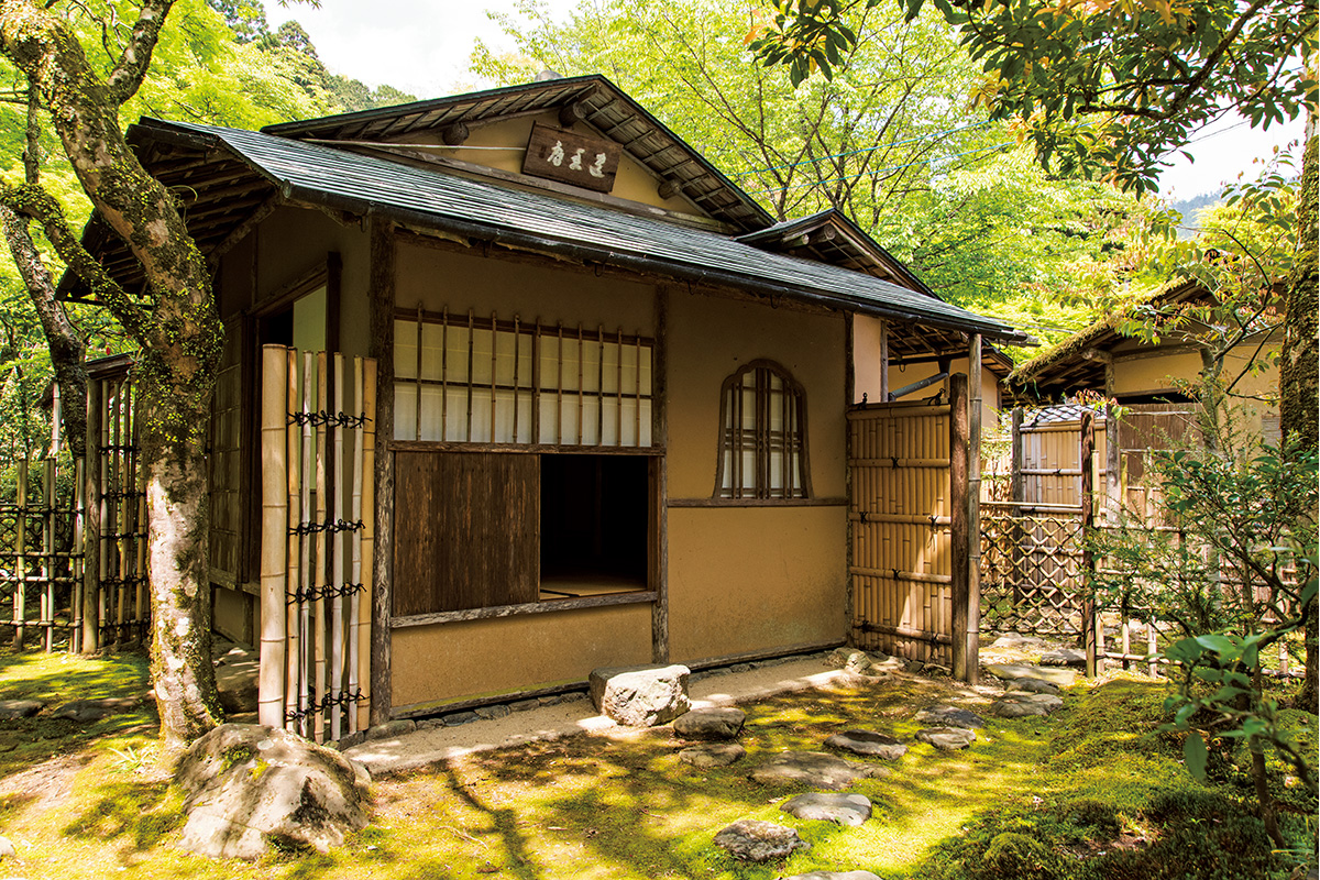 <small>《京都・高山寺で国宝の謎に迫る》</small><br>日本茶発祥の地、茶室「遺香庵」で<br>お茶のルーツを探る