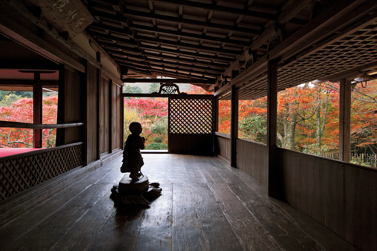 <small>《京都・高山寺で国宝の謎に迫る》</small><br>鎌倉時代に思いを馳せて、世界遺産を歩く