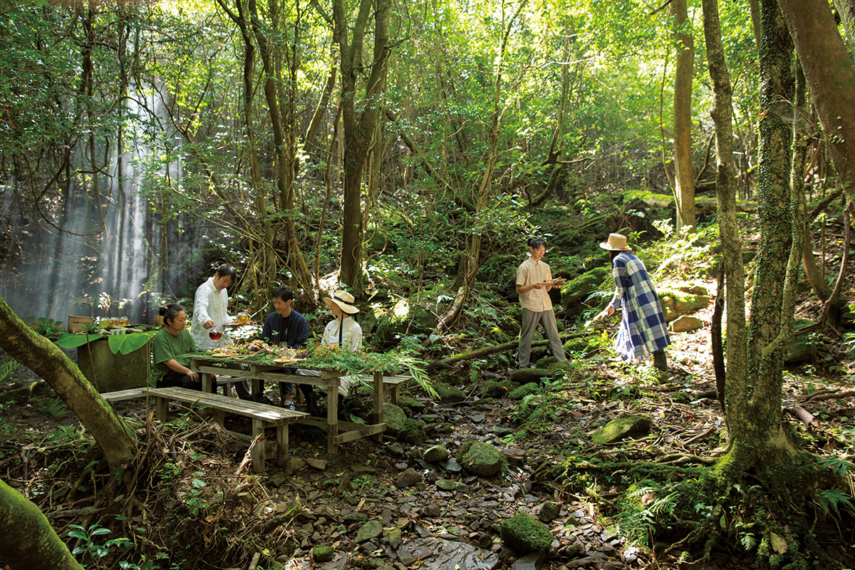 「天の製茶園」が森の再生として提案実践する“森のお茶会”とは？【前編】