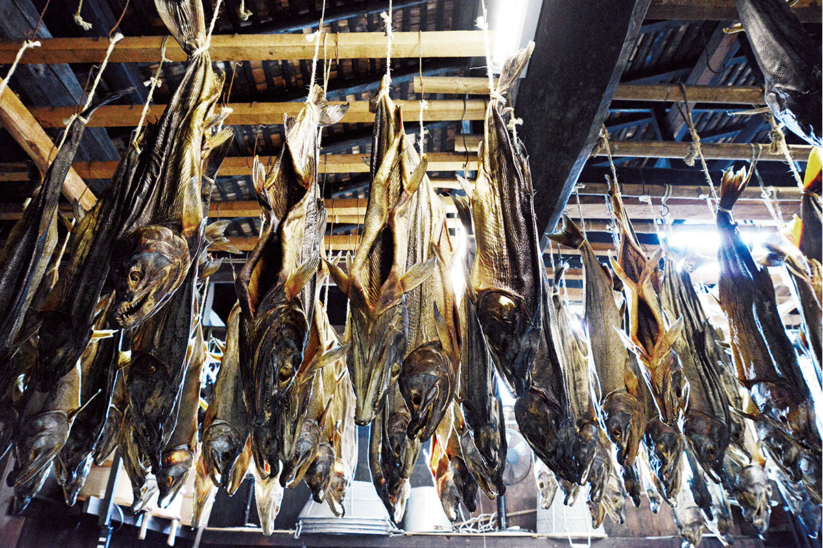 <small> 鮭とともにある歴史と食文化が残る</small><br>新潟・村上の鮭文化を訪ねて<br>【序章】