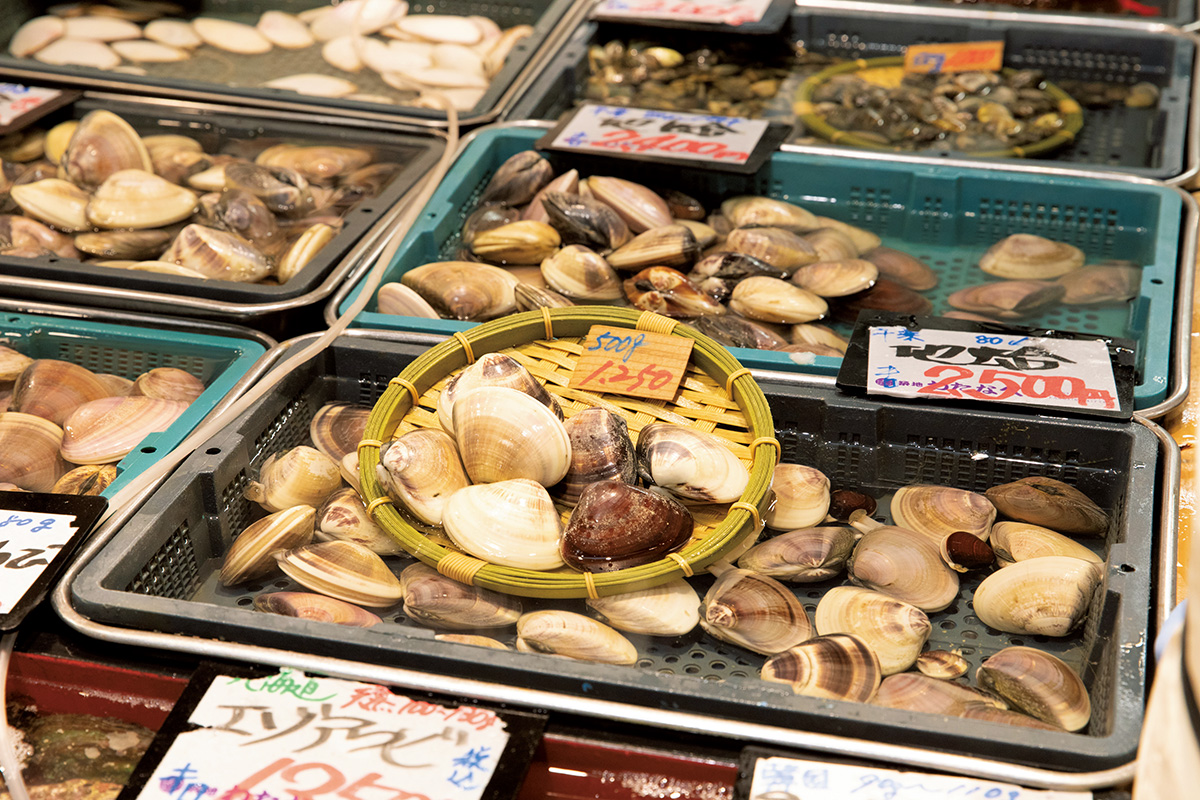 <small>毎日の食卓でも美味しい魚が食べたい！</small><br>魚の達人と行く、東京の築地場外市場ツアー