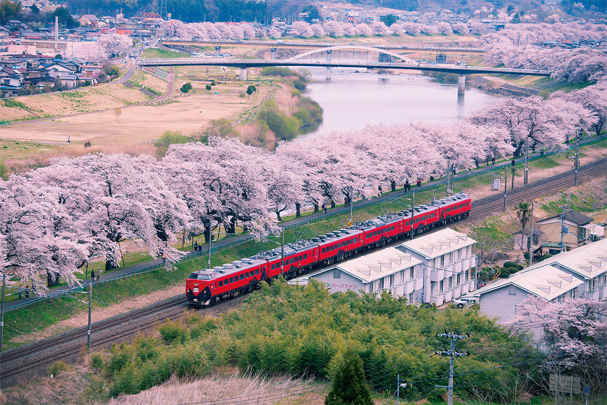 <small>風景写真家・森田敏隆さんが撮る</small><br>この春見に行きたい<br>日本が誇る桜の名所【後編】