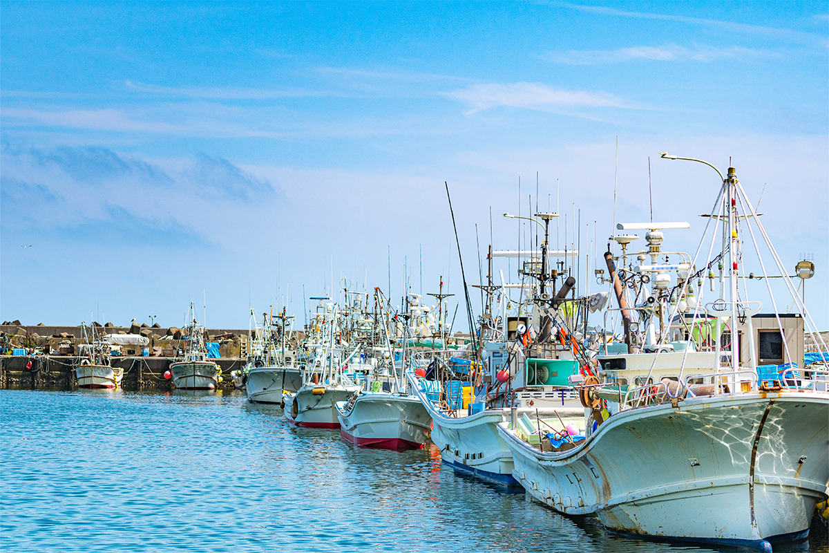 日本の水産業と魚たちを守る<br><small> 魚食文化×サステナブル・シーフードへの取り組み</small>