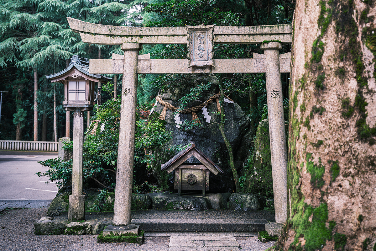 湘南乃風 SHOCK EYEさんおすすめの全国の神社・聖地4選① | Discover Japan | ディスカバー・ジャパン
