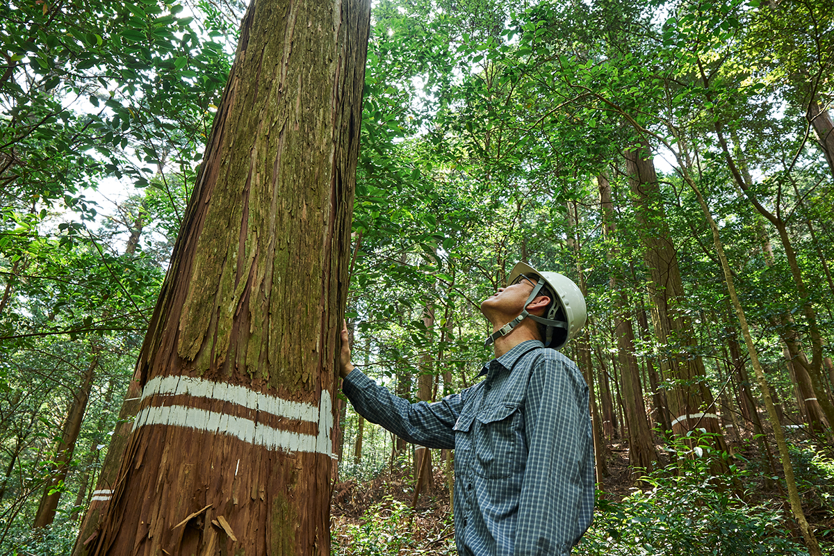森林の役割と林業の現状<br><small>《木と日本人のかかわり、そして未来③》</small>