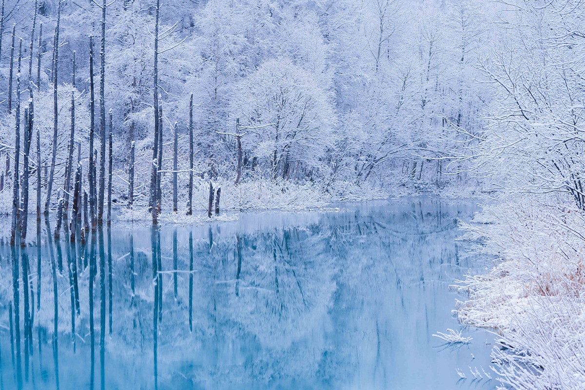 フォトコンテスト絶景プロジェクト<br> テーマ「冬の湖」