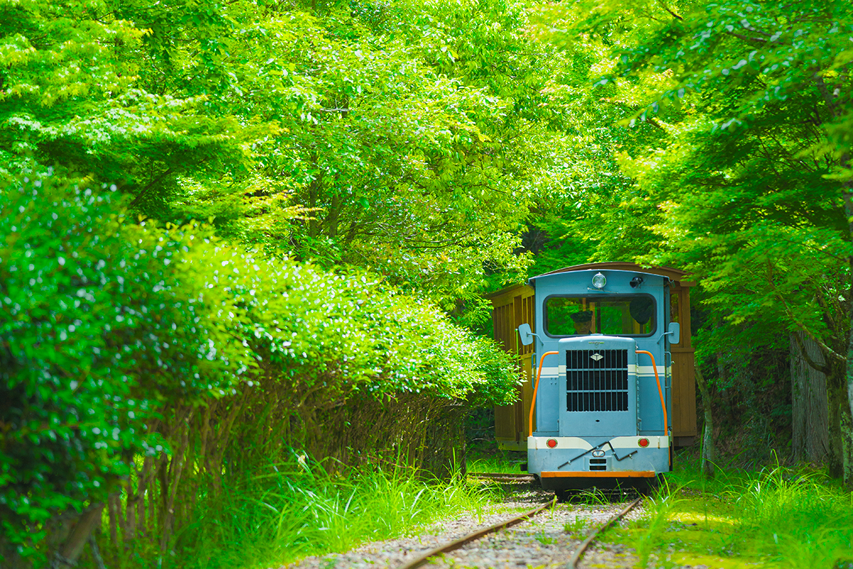 高知の大自然をめぐる冒険 【山編】<br>魚梁瀬森林鉄道／明神口橋