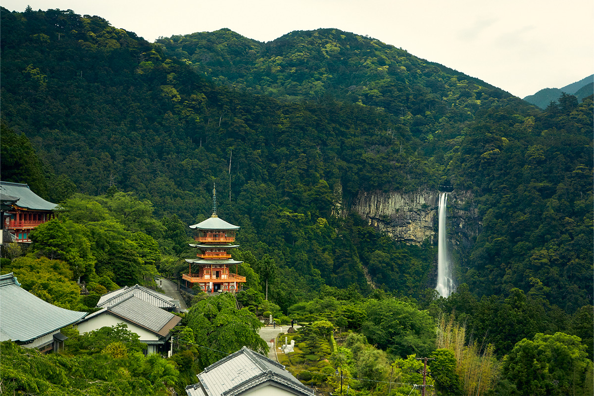 世界遺産登録20周年！<br>令和の熊野古道の歩き方【後編】<br><small>〜熊野詣でめぐる5つの寺社〜</small>