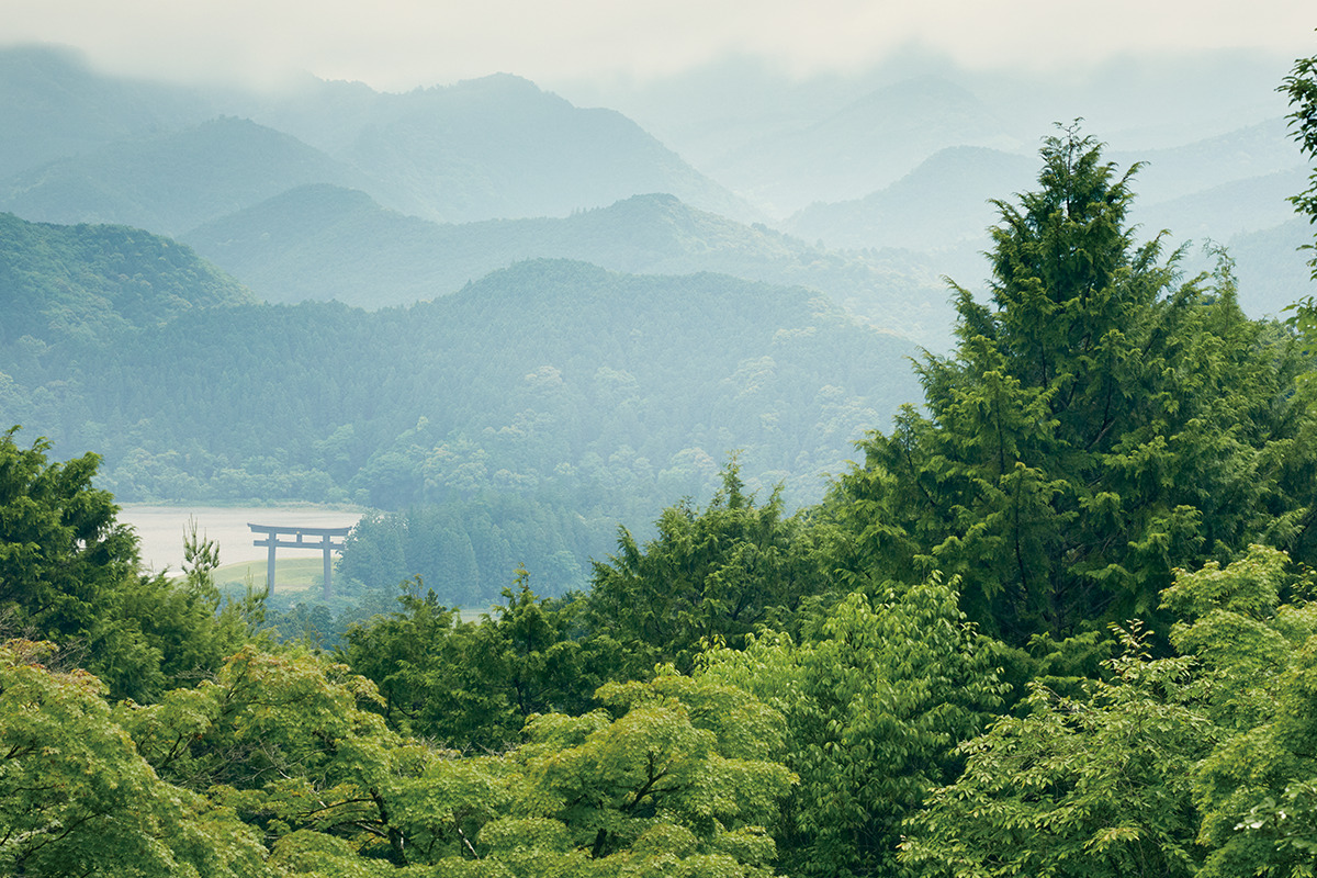 世界遺産登録20周年！<br>令和の熊野古道の歩き方【前編】