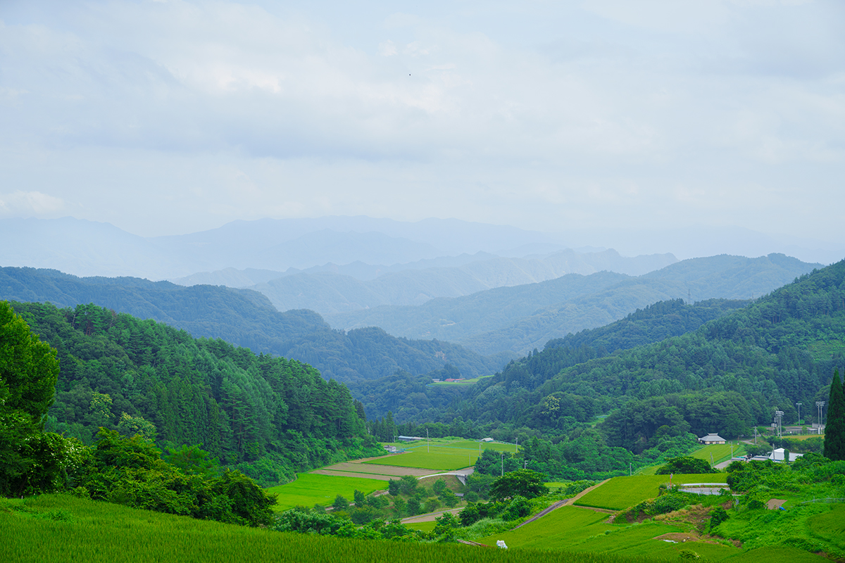 アート×風土を体感する5つのエリア<br>市街地エリア／東山エリア<br><small>｜《北アルプス  国際芸術祭2024》攻略ガイド</small>