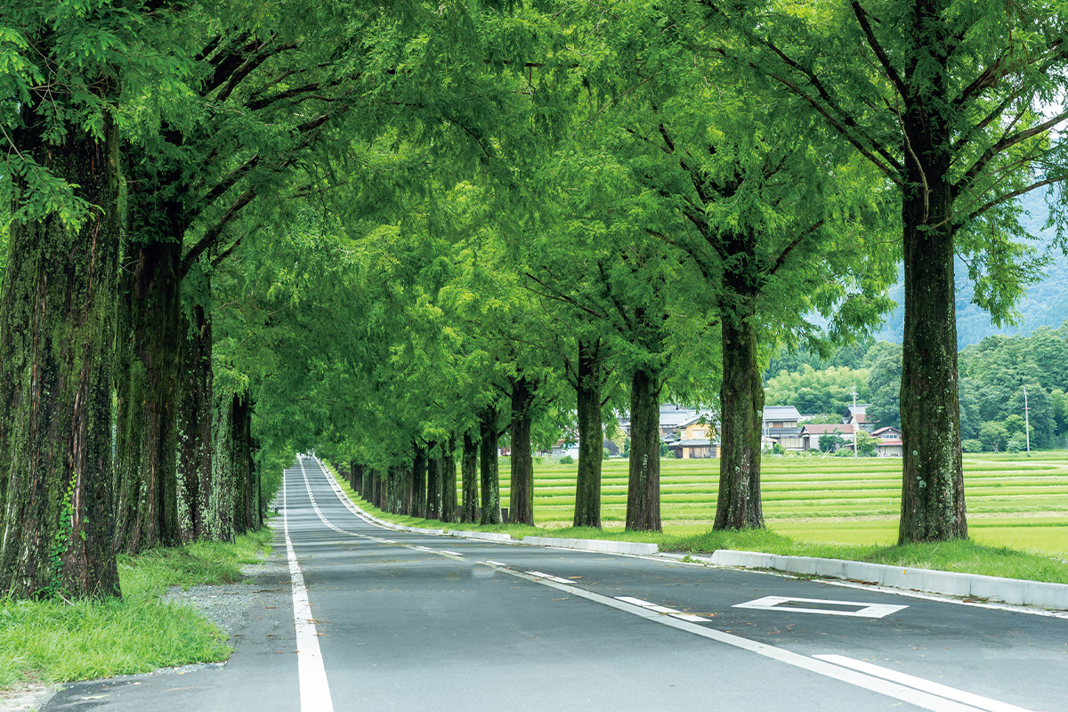 水と生きる琵琶湖エリアの暮らし<br><small>滋賀県 秘密の琵琶湖</small>