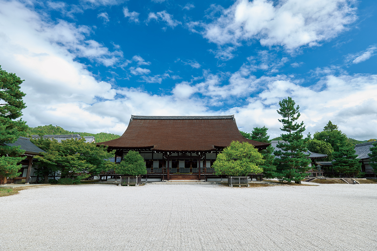 京都《大覚寺》<br> 嵯峨天皇が愛した景色に出会う<br><small> “華と心経”の門跡寺院｜前編</small>