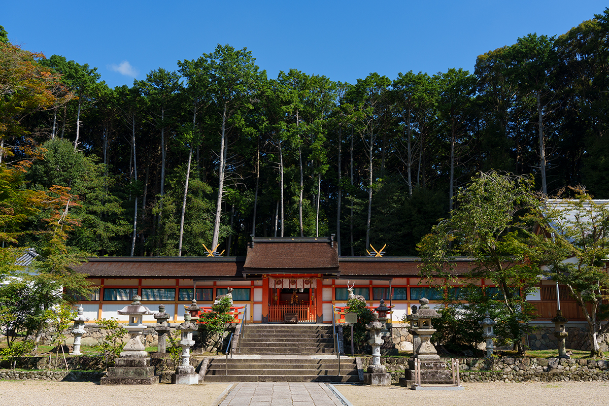 京都《大原野神社》紫式部が訪れた<br>“京の春日さん”【前編】<br><small>｜源氏物語ゆかりの定番名所①</small>