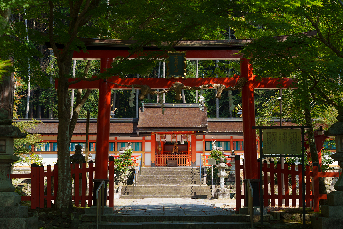 京都《大原野神社》紫式部が訪れた<br>“京の春日さん”【後編】<br><small>｜源氏物語ゆかりの定番名所①</small>