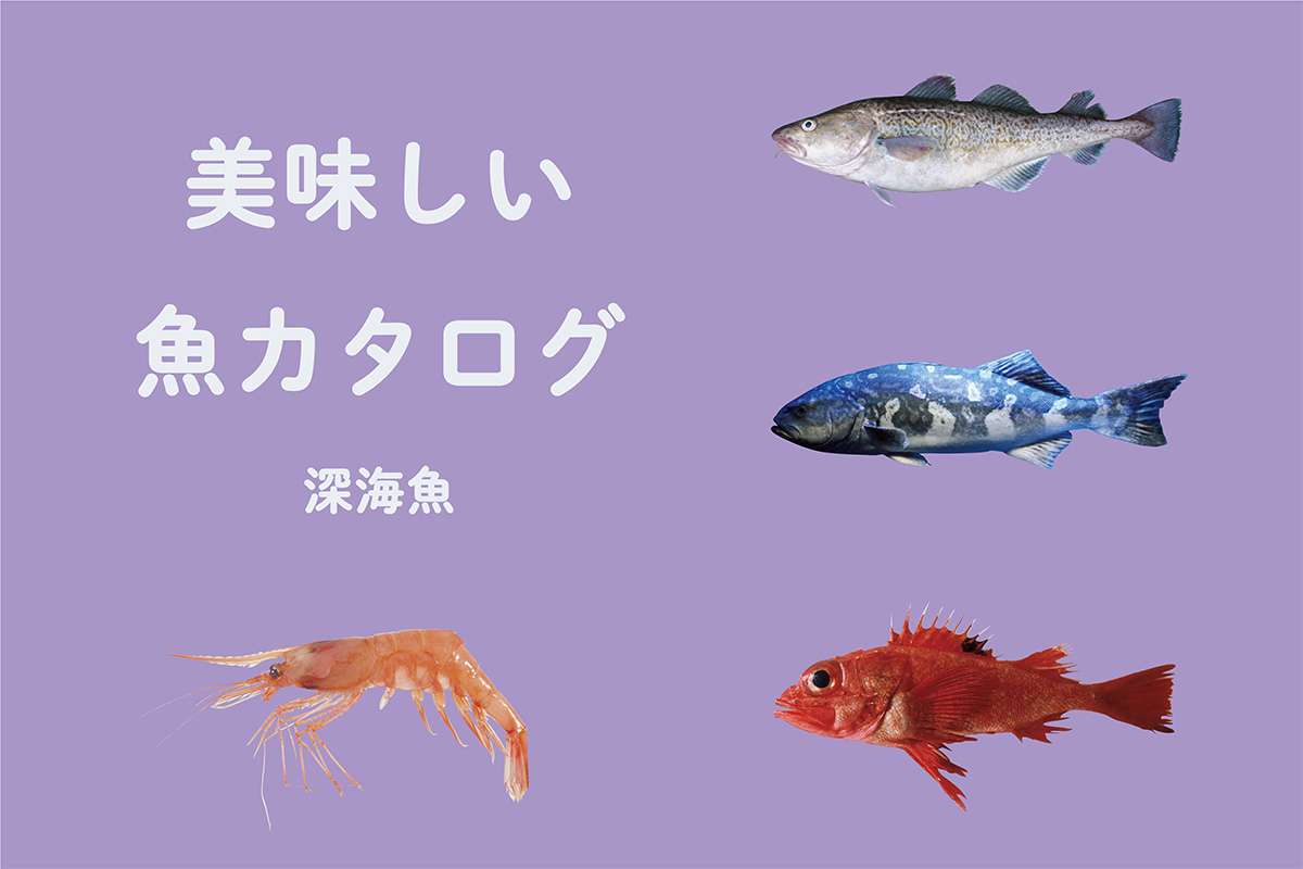 《魚カタログ》<br> 一度は食べてみたい！深海魚①<br><small> ｜マダラ / アブラボウズ / キチジ / ホッコクアカエビ</small>