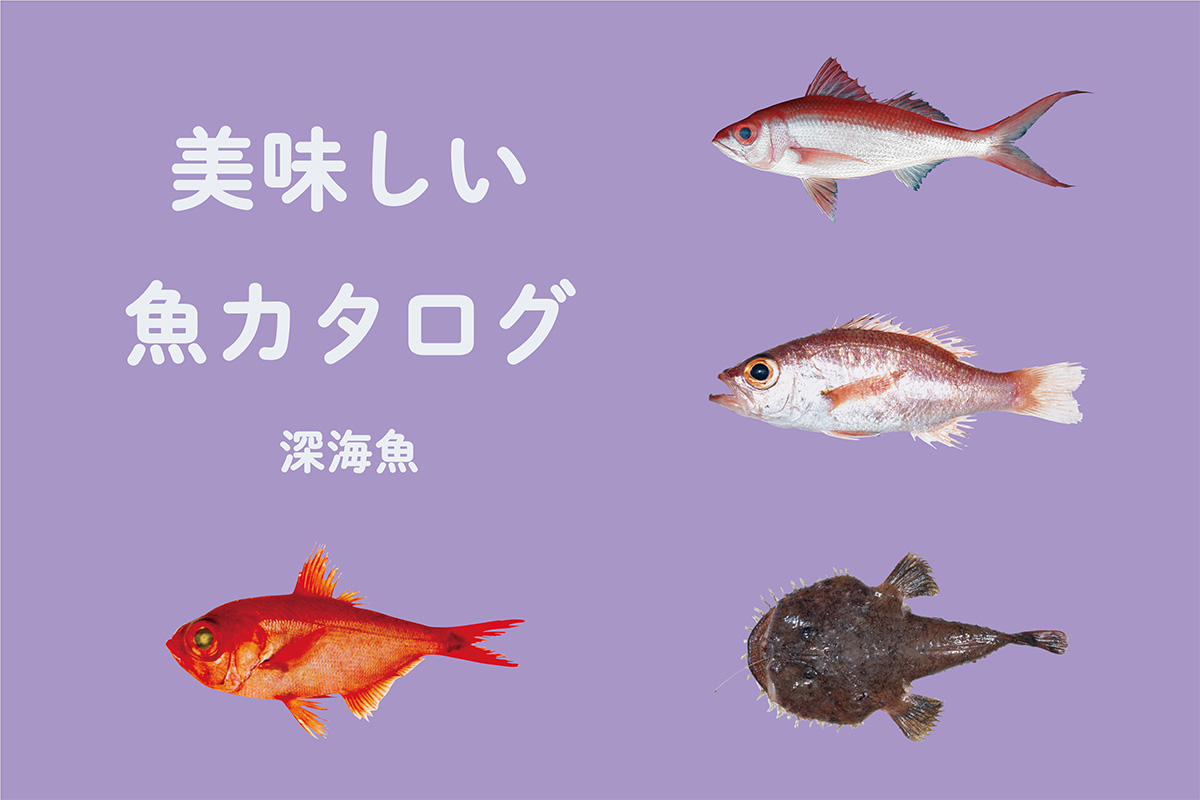 《魚カタログ》<br>一度は食べてみたい！深海魚②<br><small>｜ハマダイ / アカムツ / アンコウ / キンメダイ</small>