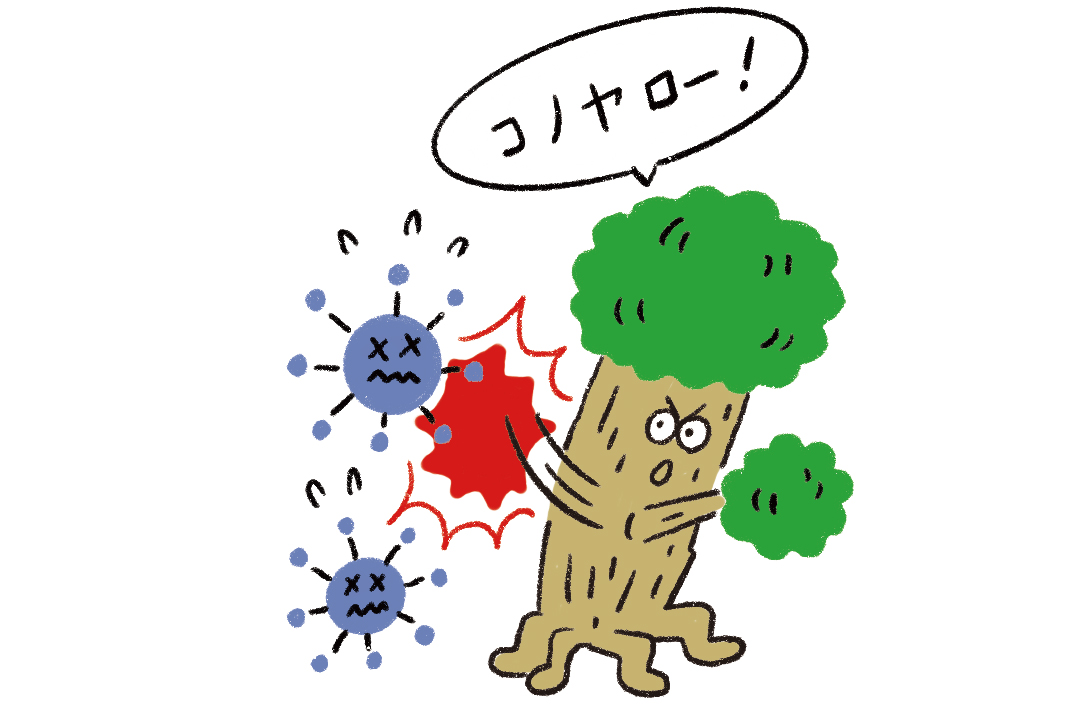 木の家がもたらす“やさしい快適”<br><small>｜ヒートショック・紫外線・ダニから暮らしを守る</small>