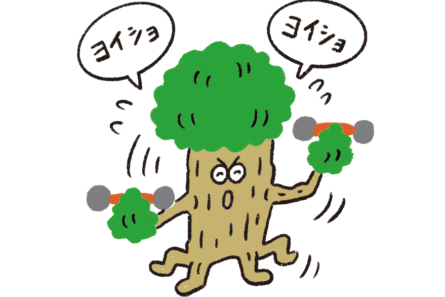 木の香りで免疫力がアップ！？<br>木の空間が生む健康効果とは