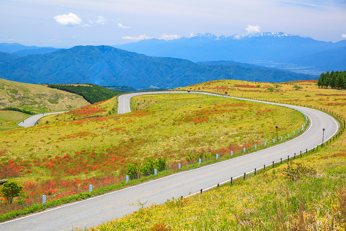 長野〈ビーナスライン〉<br><small>｜一生に一度は行きたい！日本の絶景ドライブ街道</small>