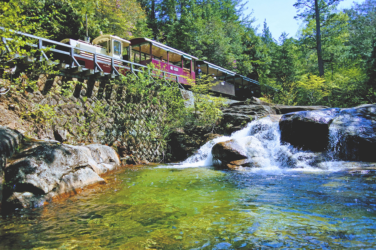 一度は訪れてみたい！<br>全国各地の林業遺産7選【前編】