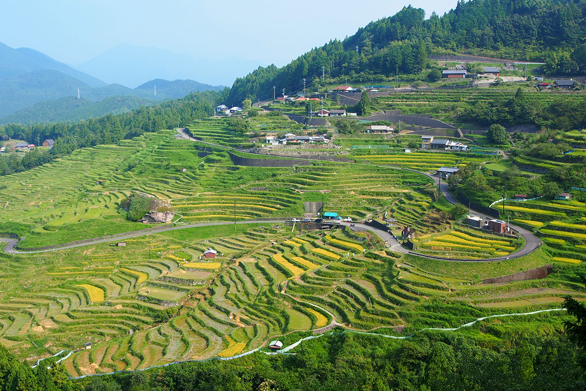 日本の原風景を体感するおすすめ絶景ドライブルート3選