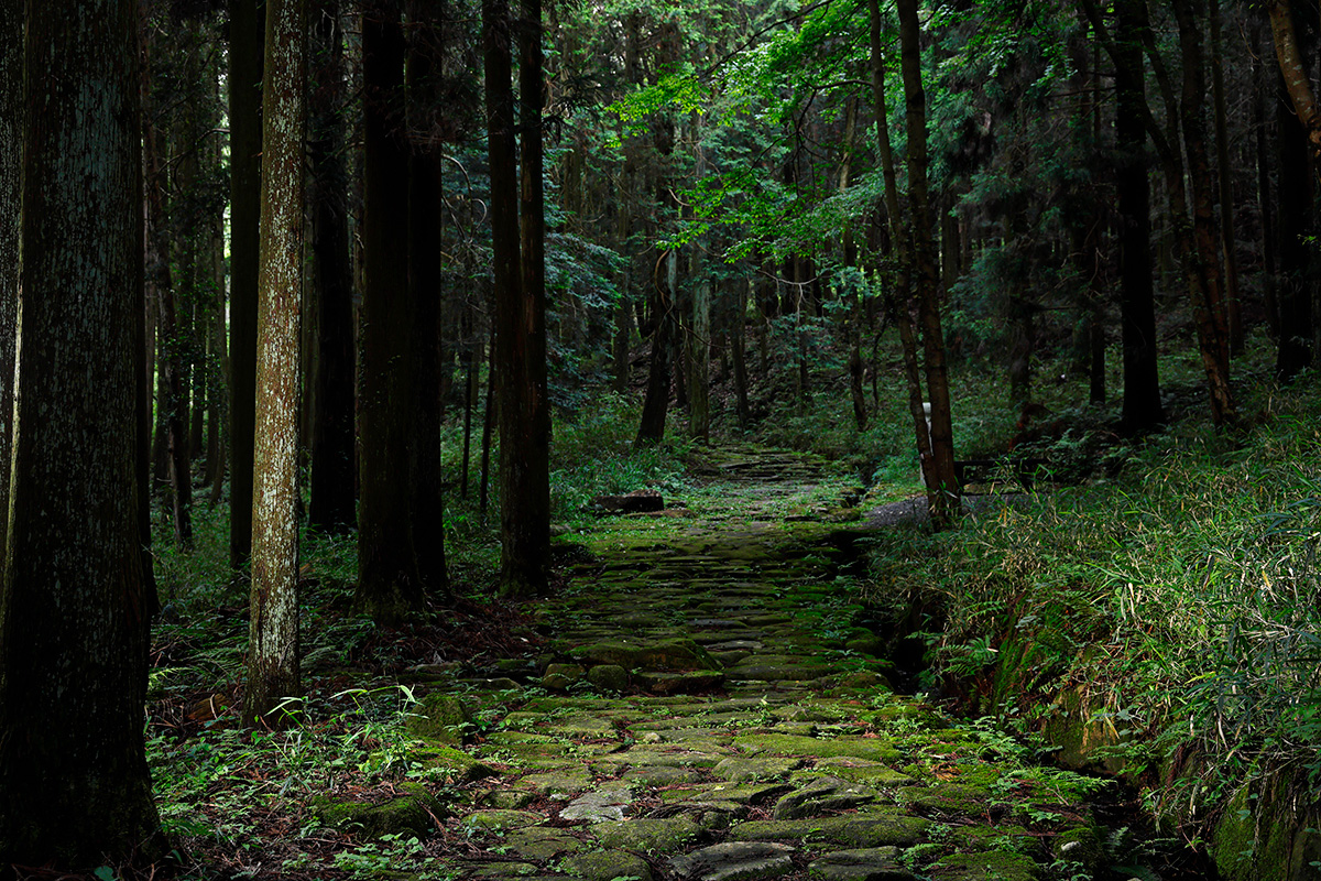 令和の中山道の歩き方<br>岐阜の宿場町をめぐる旅<br><small>前編｜歴史文化に触れて、江戸の旅人気分を味わう。</small>