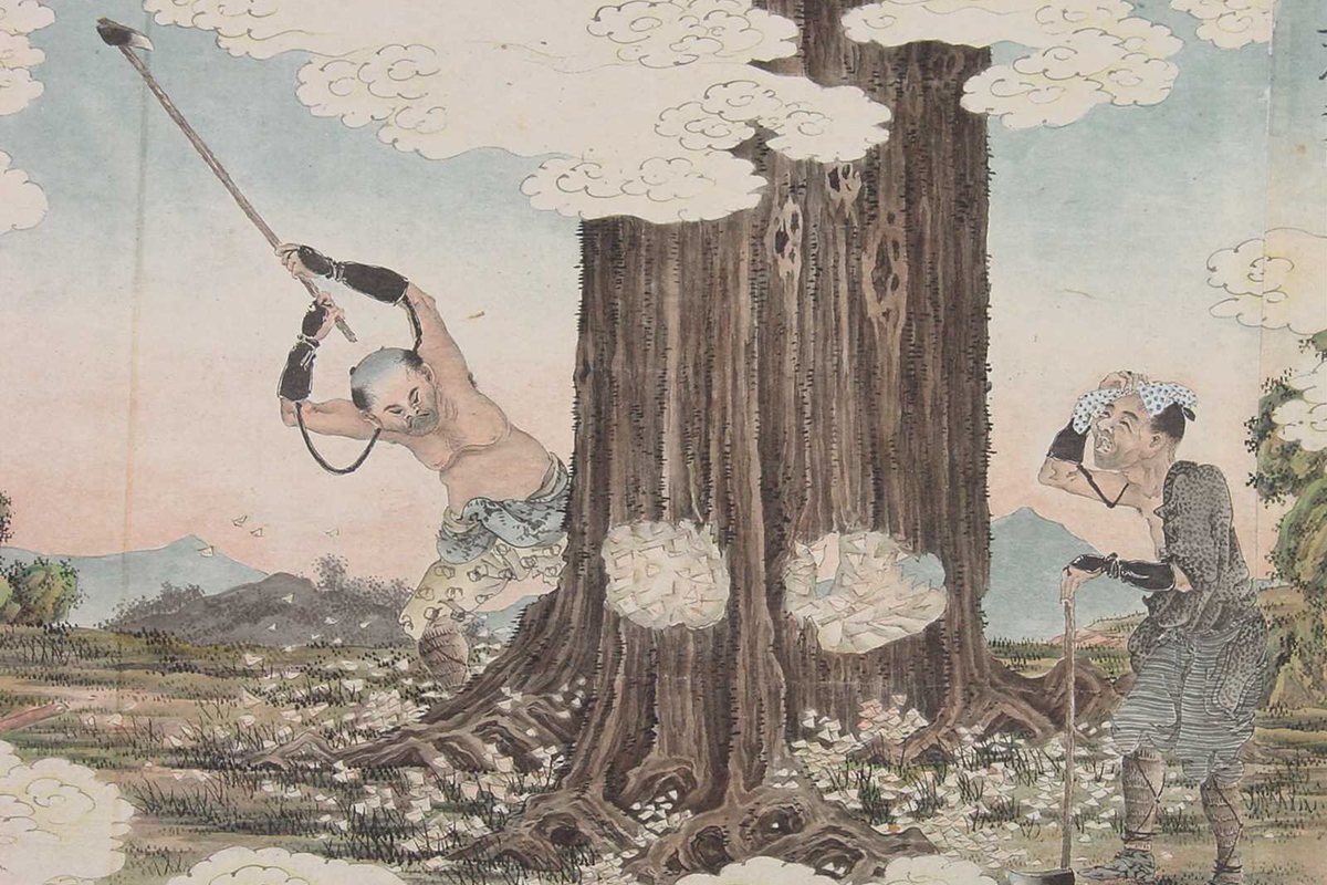 知っておきたい<br>「林業の歴史」