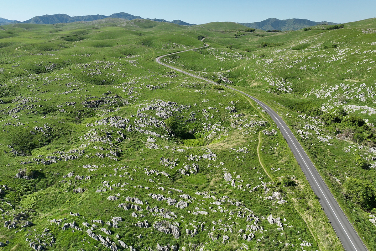 山口〈秋吉台カルストロード〉<br><small>｜一生に一度は行きたい！日本の絶景ドライブ街道</small>