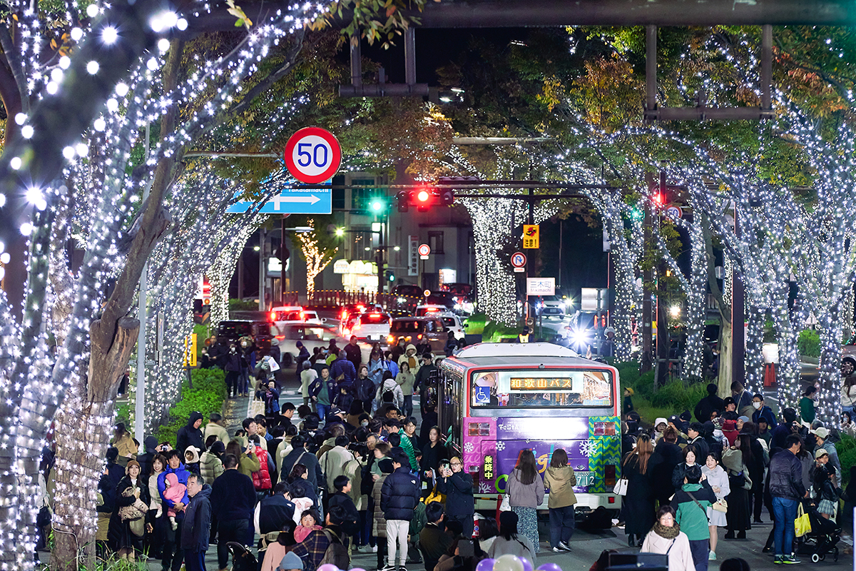 和歌山から全国へ広がる<br>「光のまちづくり」【前編】<br><small>｜タカショーデジテックが仕掛ける閑散期のまちづくりとは？</small>