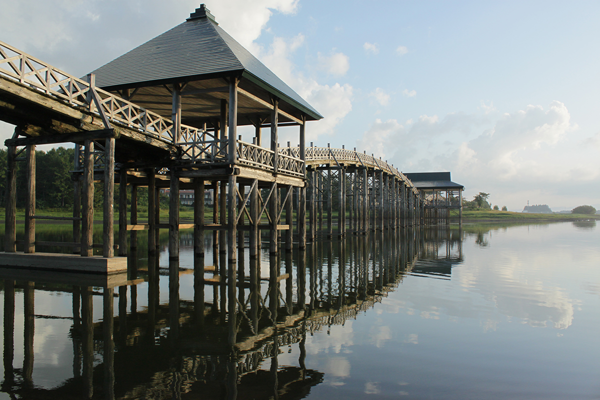 檜葉（ヒバ）<br>耐久性と抗菌性に優れた別名「アスナロ」<br><small>｜日本文化をつくってきた木材を知る</small>