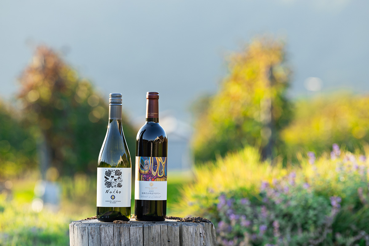 《テロワール・ツーリズム》<br>ワインを醸す“長野”を味わう旅<br><small>｜5つのワインバレー×文化を愉しむ</small>