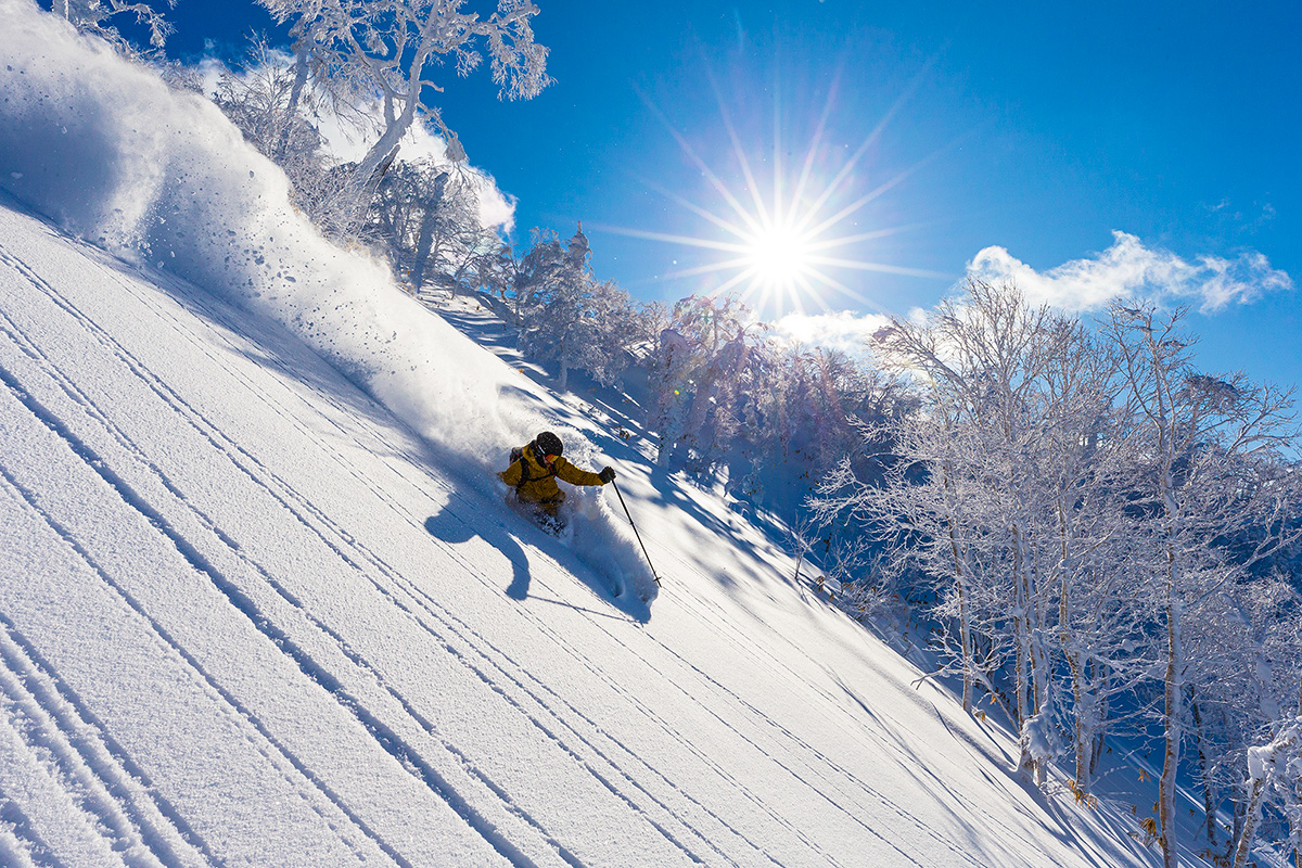 北海道の四季をめぐる<br>アドベンチャーツーリズム<br><small>｜雪、歴史、自然、食を満喫する旅へいざ！</small>