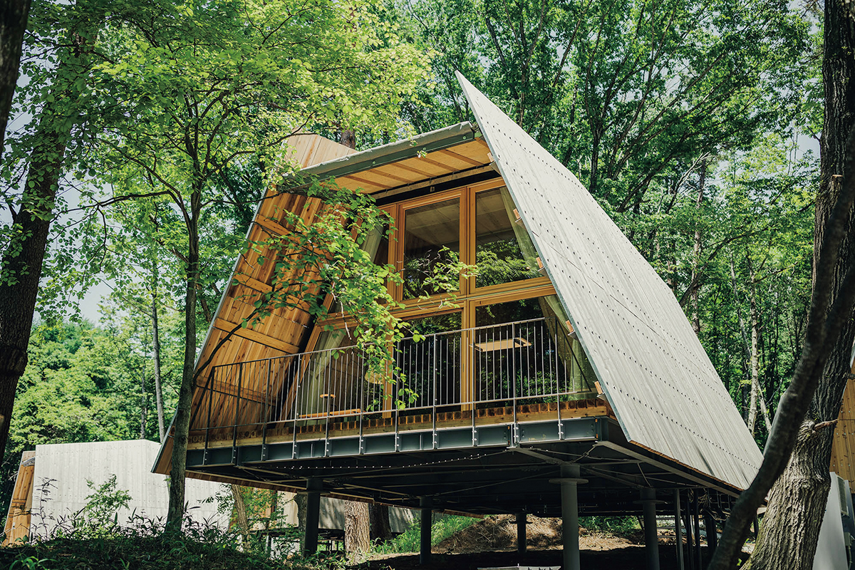 ウッドデザイン賞から見えてくる<br>「木と社会のいい関係」<br><small>前編｜地域の優れたロールモデルとなった受賞作品</small>