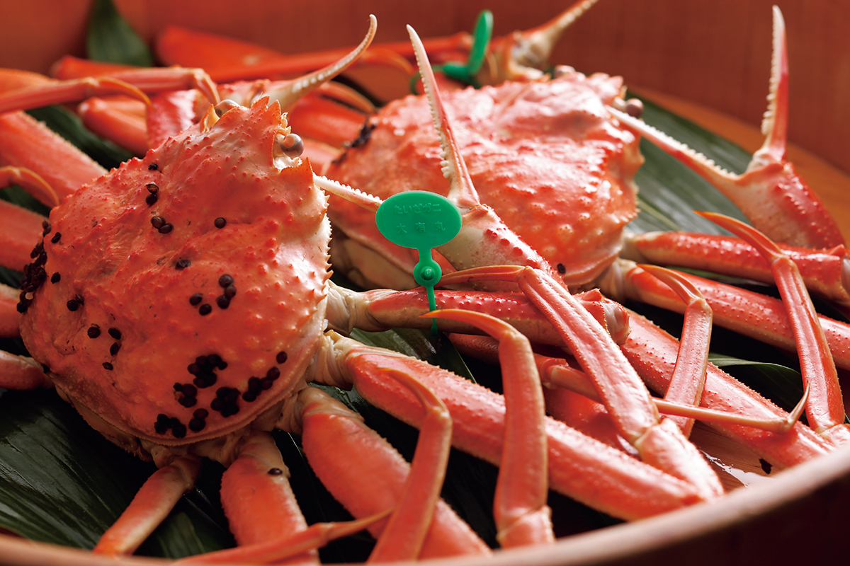 幻の“間人ガニ”の美味しいひみつ