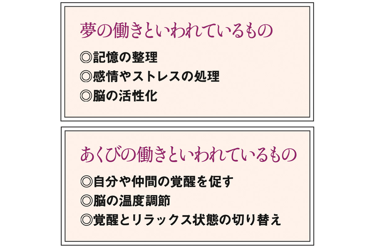 夢の働きと言われているもの、あくびの働きと言われているもの