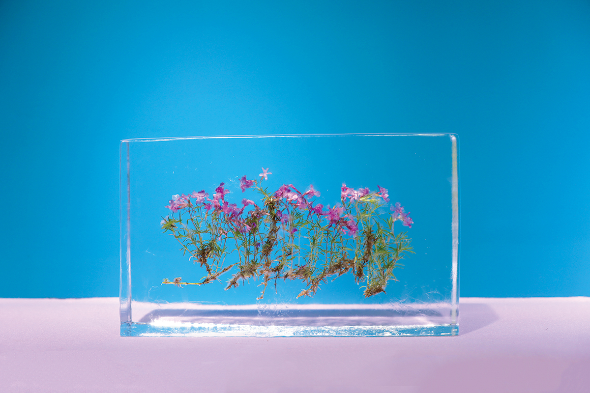 ひんやりを体感できる<br>氷のミュージアム3選<br><small>｜この夏行きたいミュージアム</small>