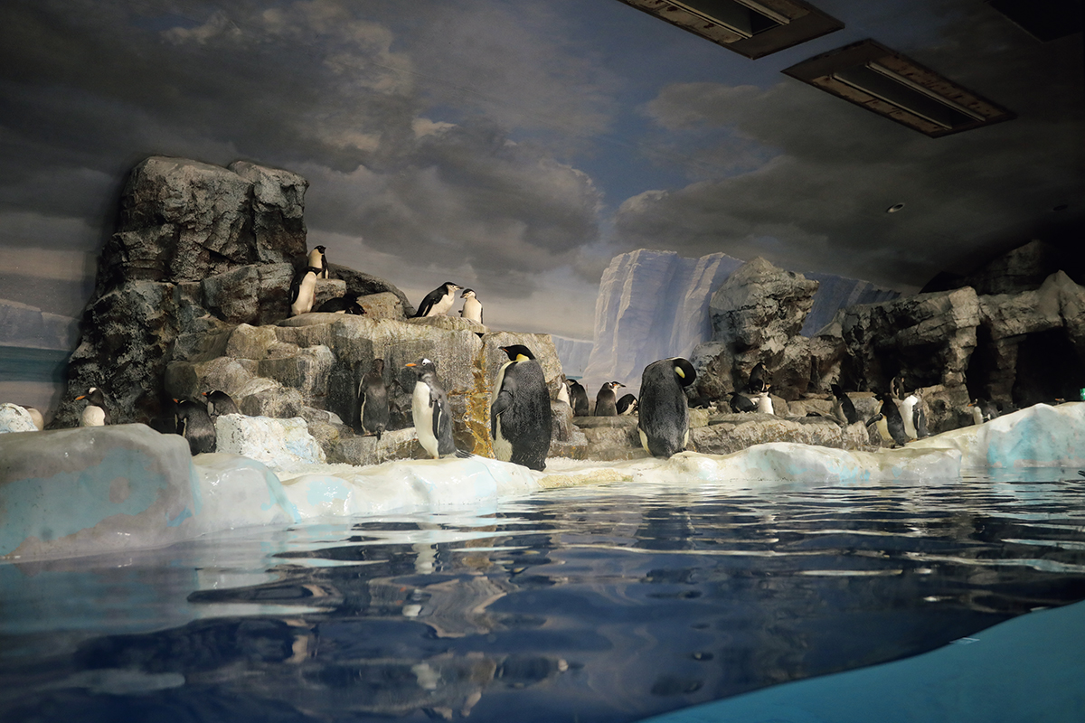 ひんやり涼しさを感じる水族館3選<br><small>｜この夏行きたいミュージアム</small>
