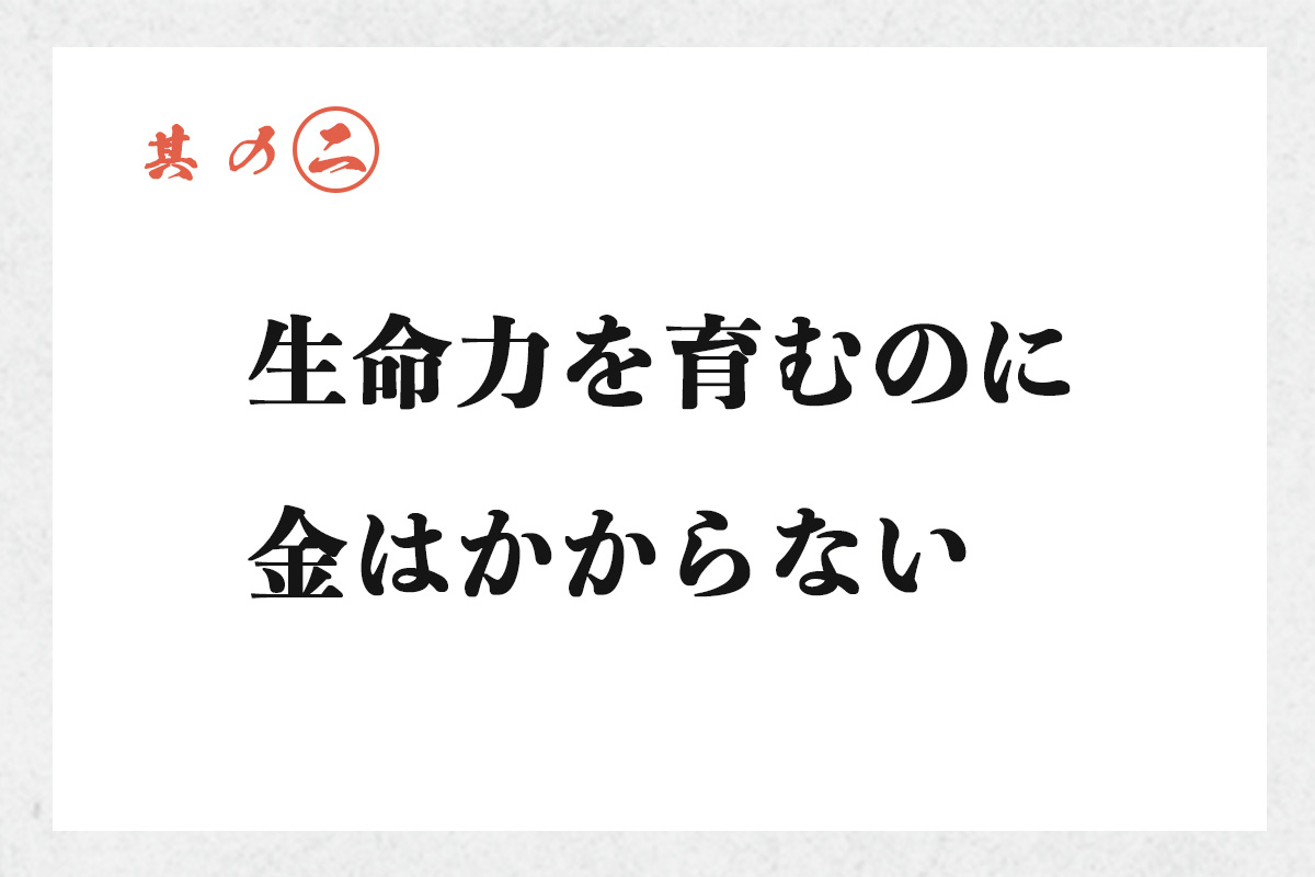 其の二 生命力を育むのに 金はかからない