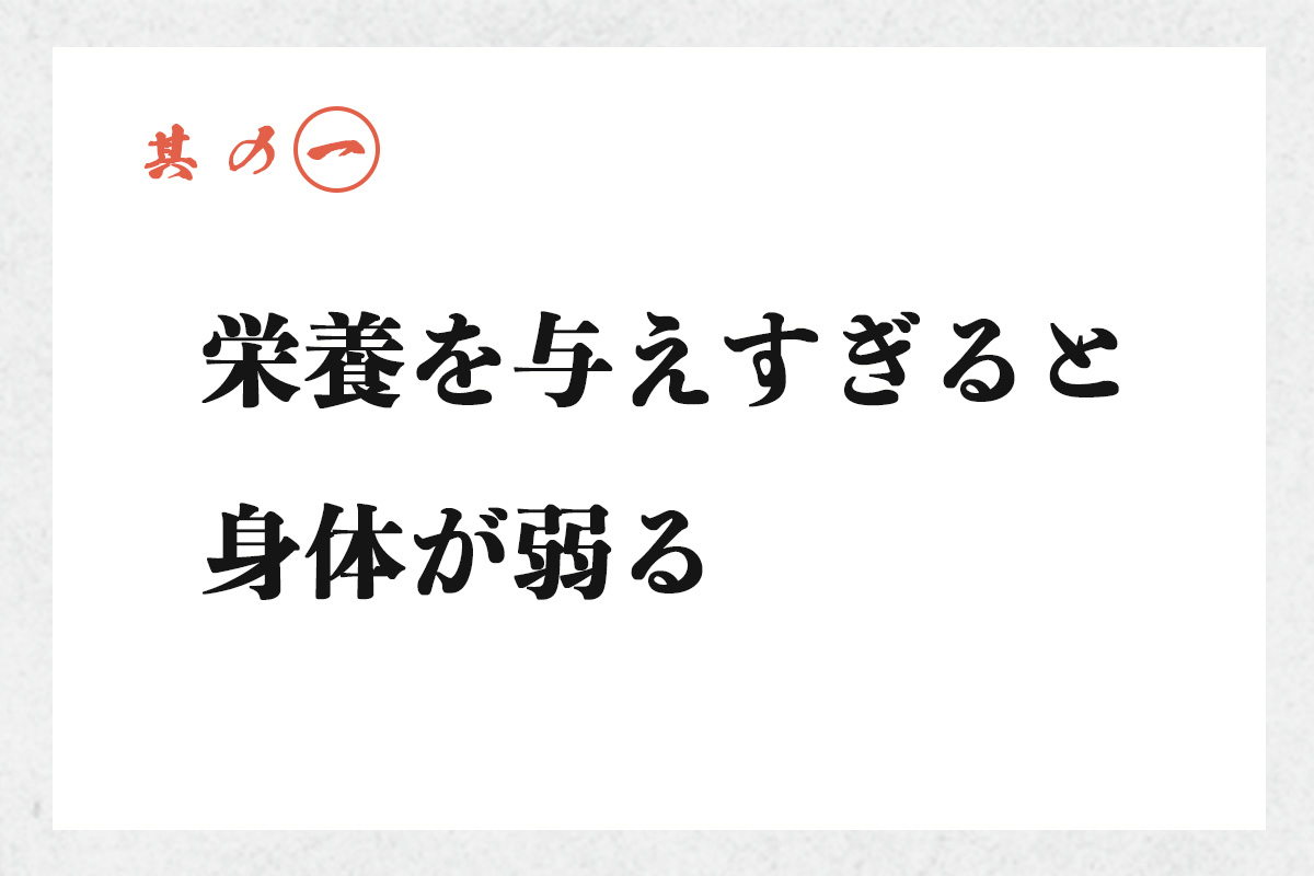 其の一 栄養を与えすぎると身体が弱る