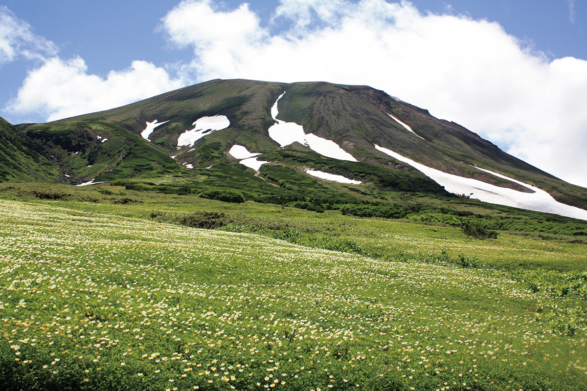 大雪山国立公園<small>（北海道）</small><br>｜この夏に出かけたい国立公園⑯