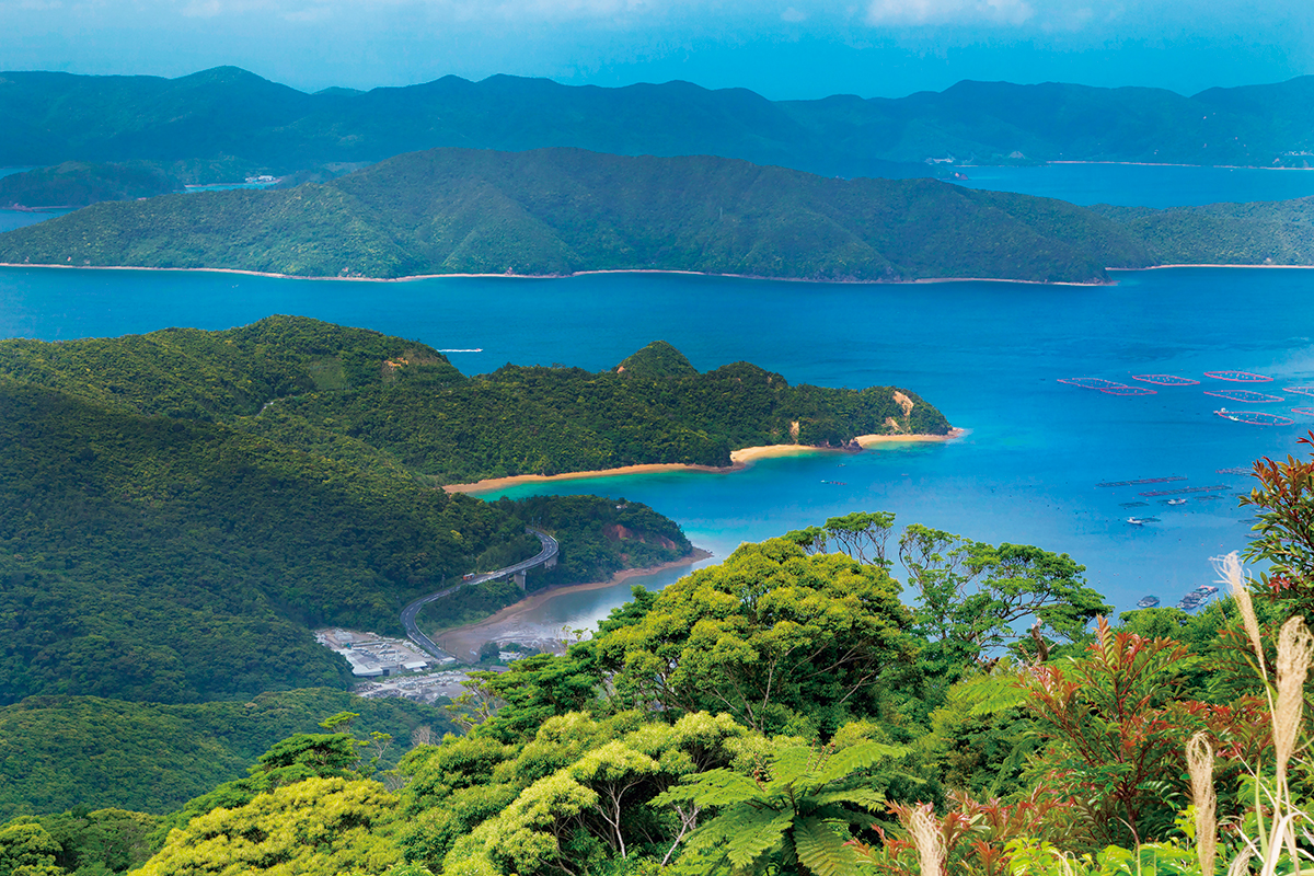 奄美群島国立公園<small>（鹿児島）</small><br>｜この夏に出かけたい国立公園⑩